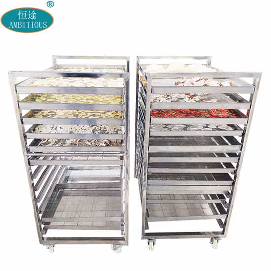 Electronic Food Dehydrator Ginger Dryer Machine Ginger Drying Cabinet