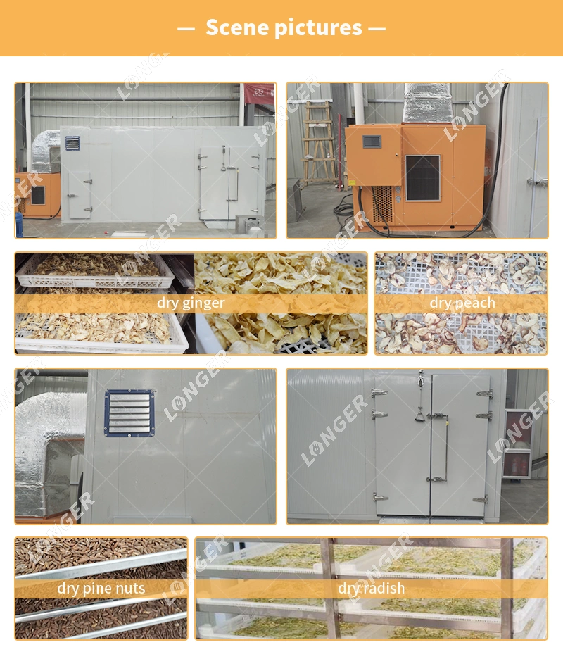 Industrial Fruit Drying Dehydrator Machine Fruit Dehydrator