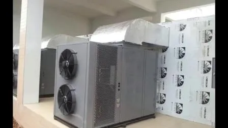 Gabinete de sequía electrónico del jengibre de la máquina del secador del jengibre del deshidratador electrónico de la comida